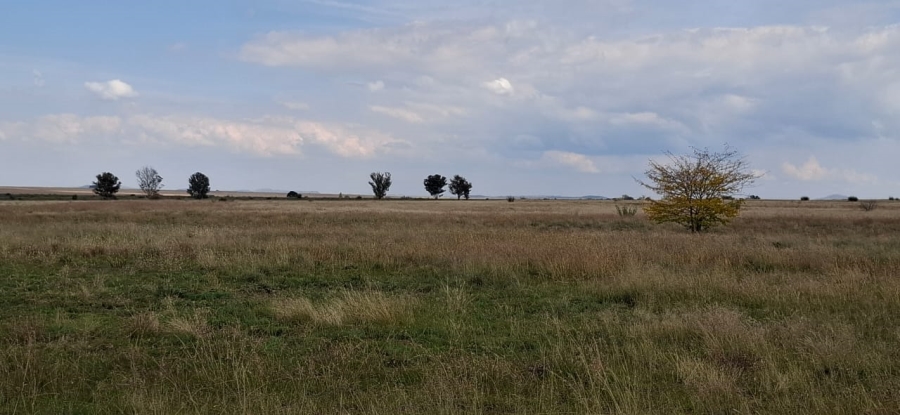 4 Bedroom Property for Sale in Bloemfontein Rural Free State